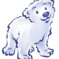 Eisbär