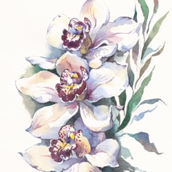 Orchidee / Aquarell