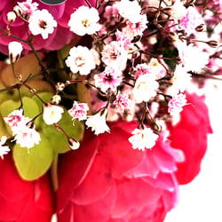 Flower Power / 2022