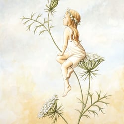 Sommerelfe