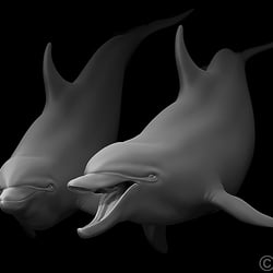 Delfine – Pixologic ZBrush