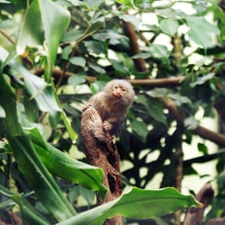 Zoo Wuppertal