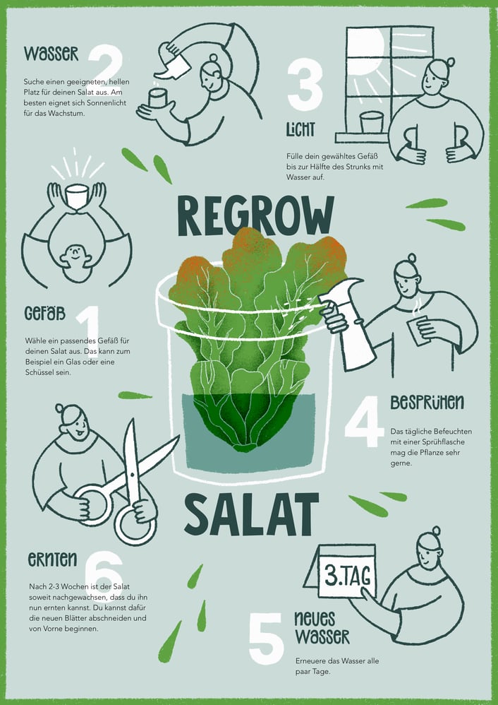 Isabel-Meister Infografik Regrow