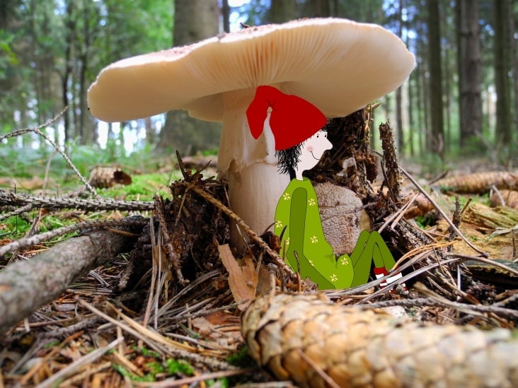 hockender Zwerg unter Pilz