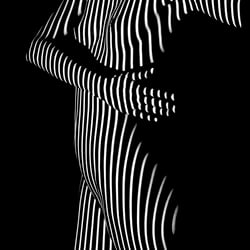 stripes