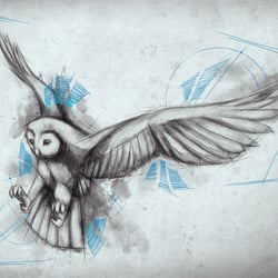 Imagine – draft