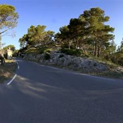 provence (Medium)