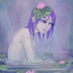 Water lily
