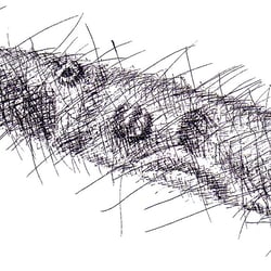 Fineliner