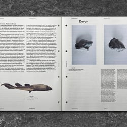 DasAuge-Praehistorica Katalog10