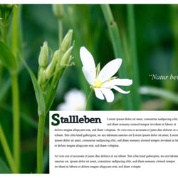 Buch – Seite 5