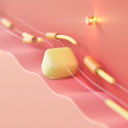 3D Mockup