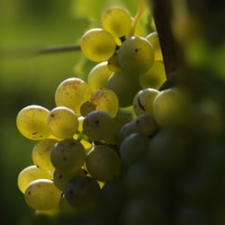 Herbst September 2013 044