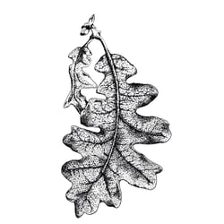 September