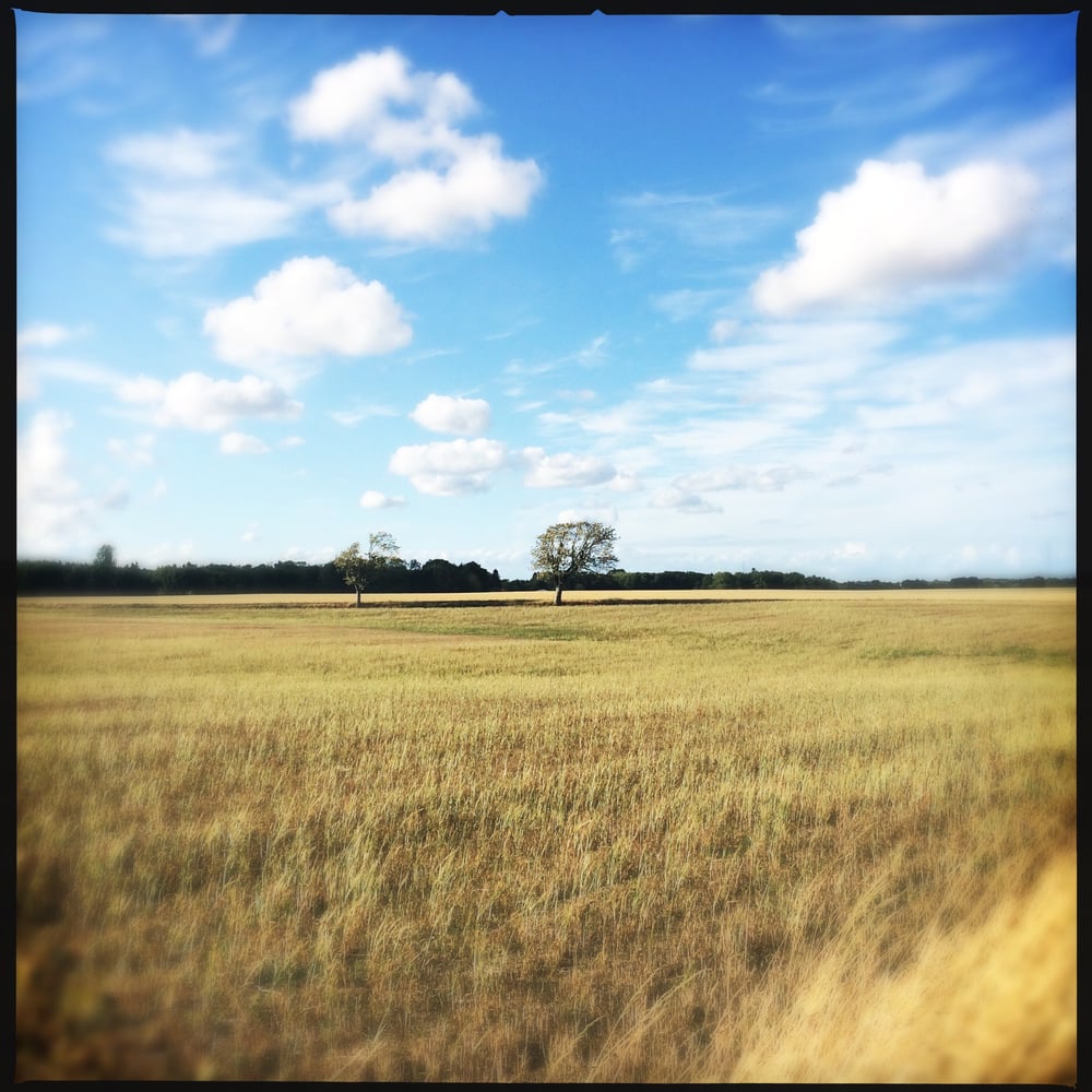 Landschaft