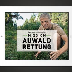 App Artikel