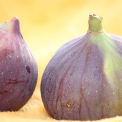 Fruits – Früchte 2012 Feigen