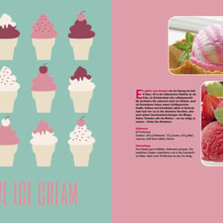 3435 spoon 01.13 eis