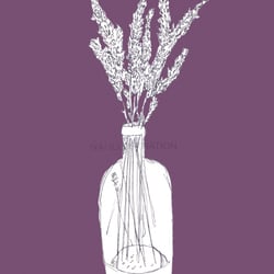 Lavender in a Bottle