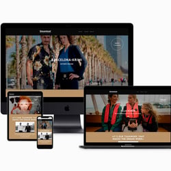 Agentur HALMA Leistungen Digital: Dreamtool