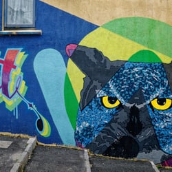 Fassadenmalerei in Cork