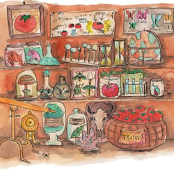 The scientist room