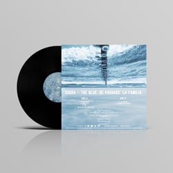 Vinyl back 1