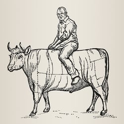 Metzger Drink`N`Ride – Wein Etikett Illustration