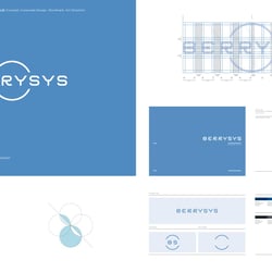 BerrySys: Logo, Konstruktion und Markenrichtlinien