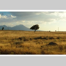 Fotografie-Natur