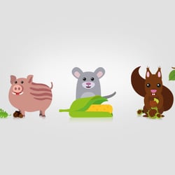 tiere03