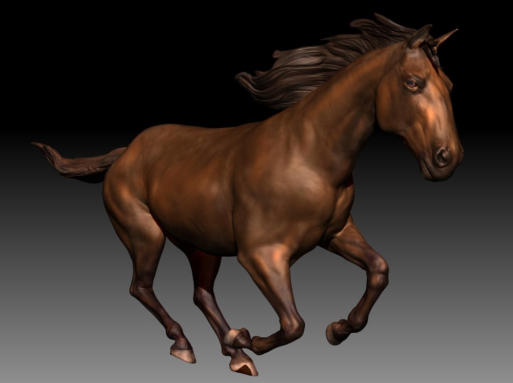 Digital Sculpting