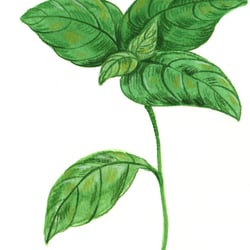 Concept-Illustrationen