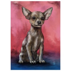 HOMBRE DER CHIHUAHUA