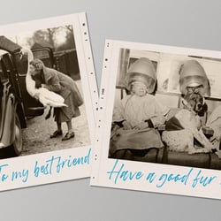 Postcards