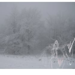 Animus, Dreihorn – Wandelnde WeltenWanderer