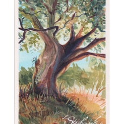 Der magische Baum