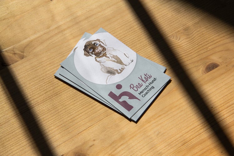 Grafik und Webdesign für Bea Koti, Mensch-Hund-Coaching, Winterthur, Corporate Design / Inserate / Beschriftungen / Website