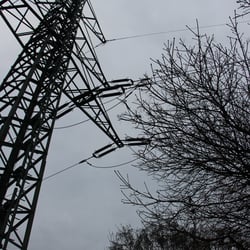 Strommast & Baumast