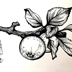 VerenaFaeth Apples Ink