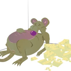 Raton