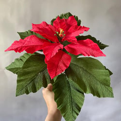 Weihnachtsstern