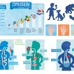 Illustrationen Broschüre „Körper“/Layout: Eileen Frühauf_Stiftung Haus der kleinen Forscher