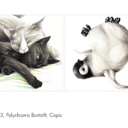 Portfolio einfach24