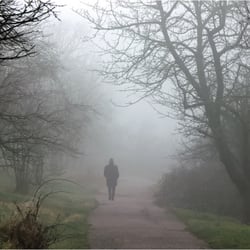 im Nebel