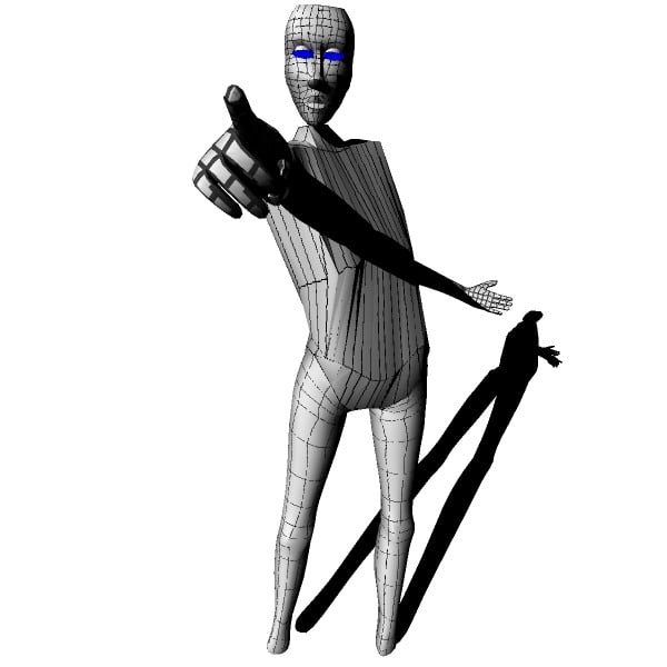 the human body