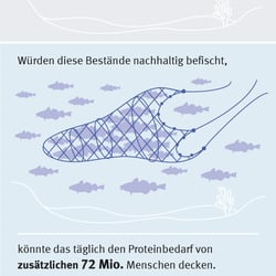 Überfischung, Marine Stewardship Council