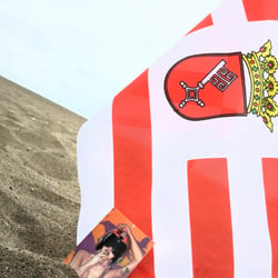L.A. Beach Flag