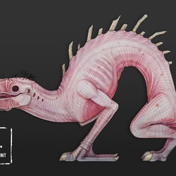 The Shrimp | Wireframe