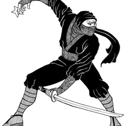 Ninja